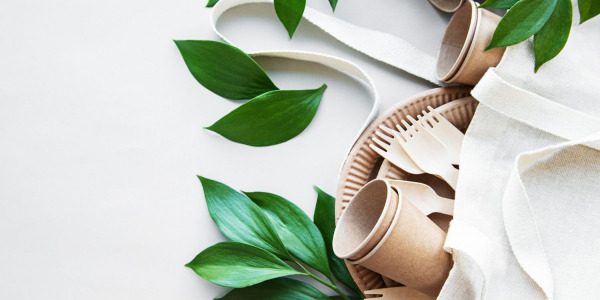 Novoročné predsavzatia – ako prejsť v bežnom živote na ekologické jednorazové výrobky?