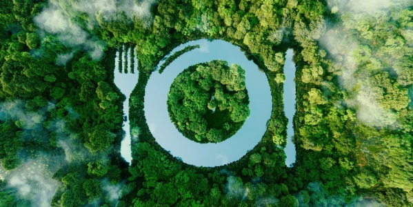 Na czym polega ekologia w gastronomii? Praktyczne podejście do ochrony środowiska w branży HoReCa